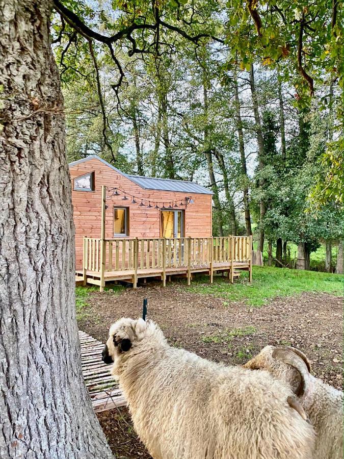 숄레 Jolie Tiny House Sous Les Grands Arbres 빌라 외부 사진