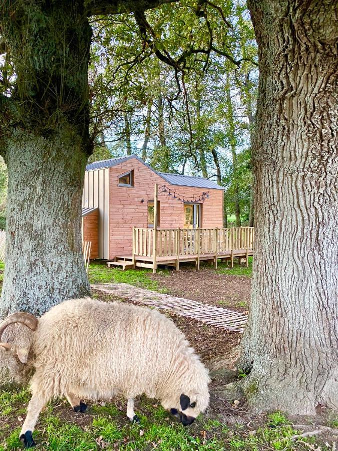 숄레 Jolie Tiny House Sous Les Grands Arbres 빌라 외부 사진