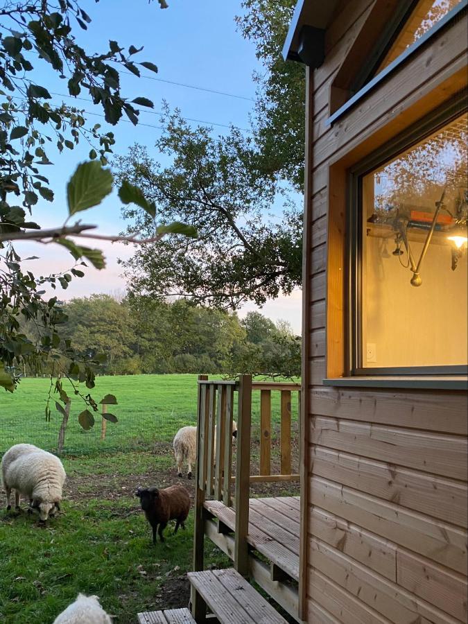 숄레 Jolie Tiny House Sous Les Grands Arbres 빌라 외부 사진