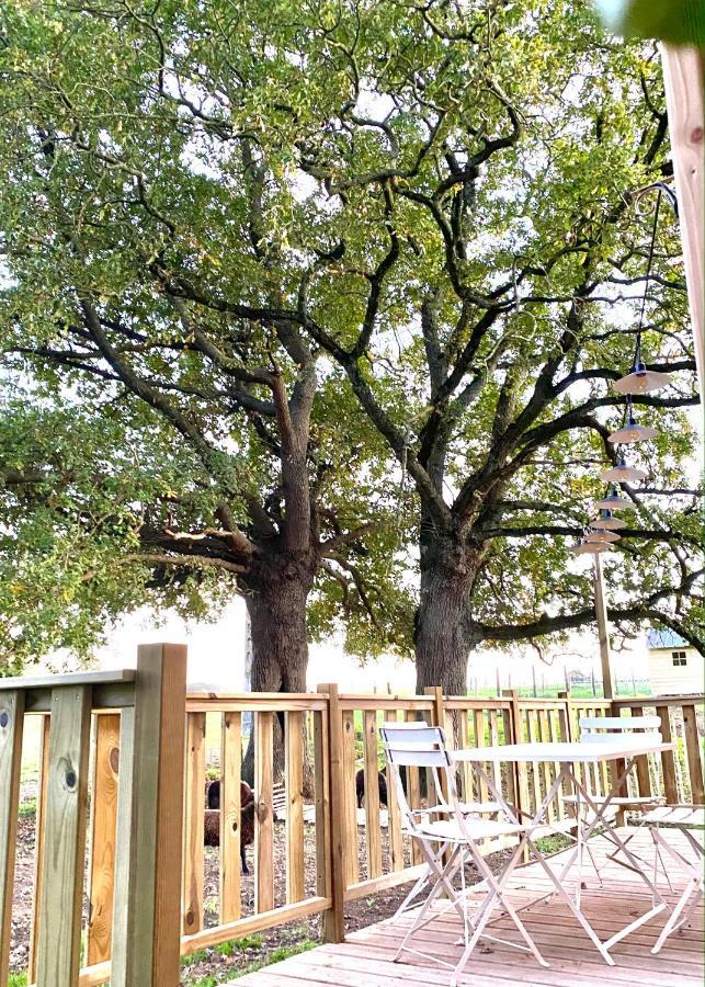 숄레 Jolie Tiny House Sous Les Grands Arbres 빌라 외부 사진